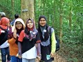 Tn 1002 IMG20151107151753